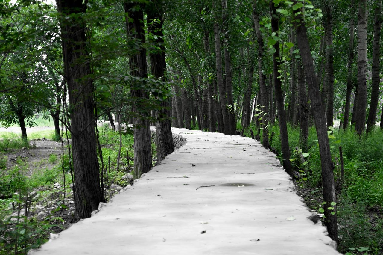 大路与小路宽度对比