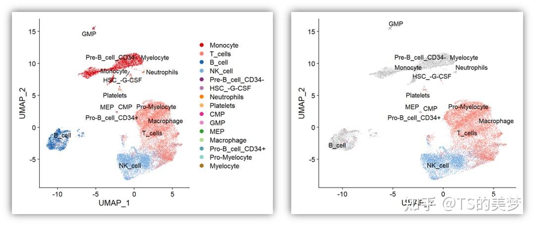 单细胞UMAP图只标记特定细胞群、圈定细胞群及坐标轴修改 - 知乎