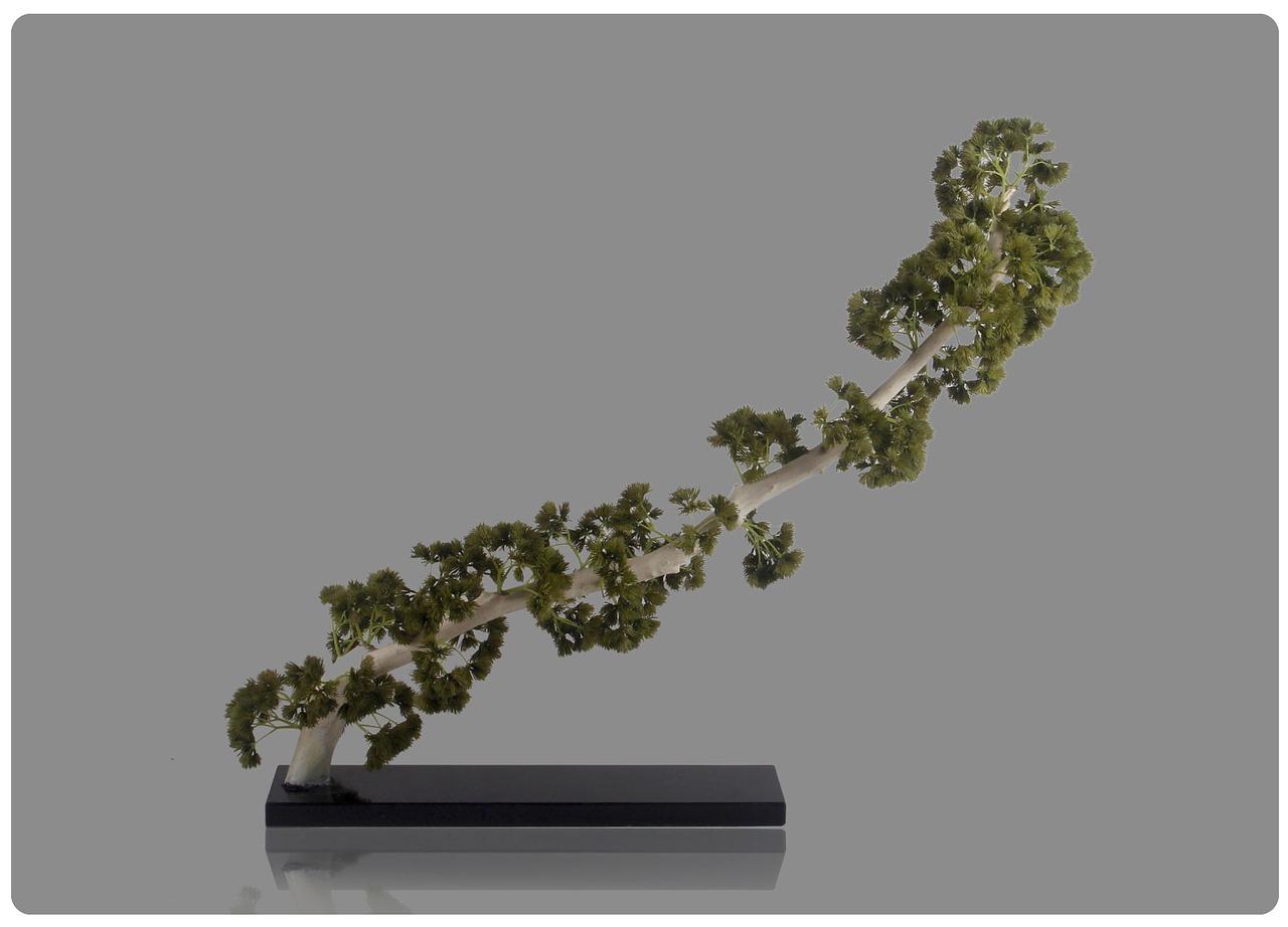 3. 阅读专业书籍