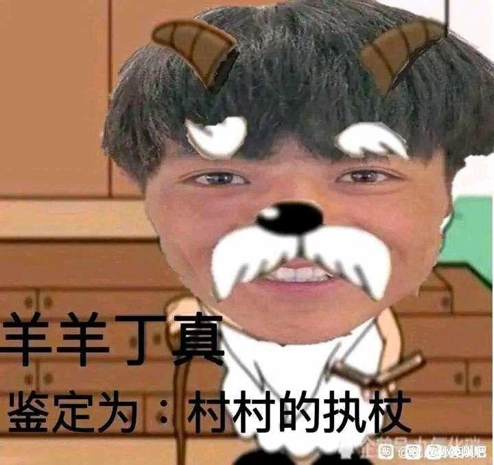 如何评价孙笑川吧等贴吧吧友制作的"一眼丁真"系列表情包? - 知乎