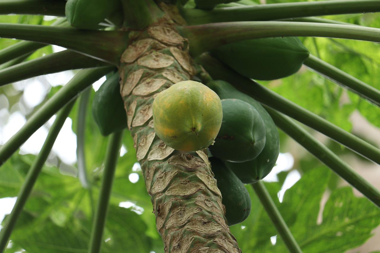 1. 精致户型设计