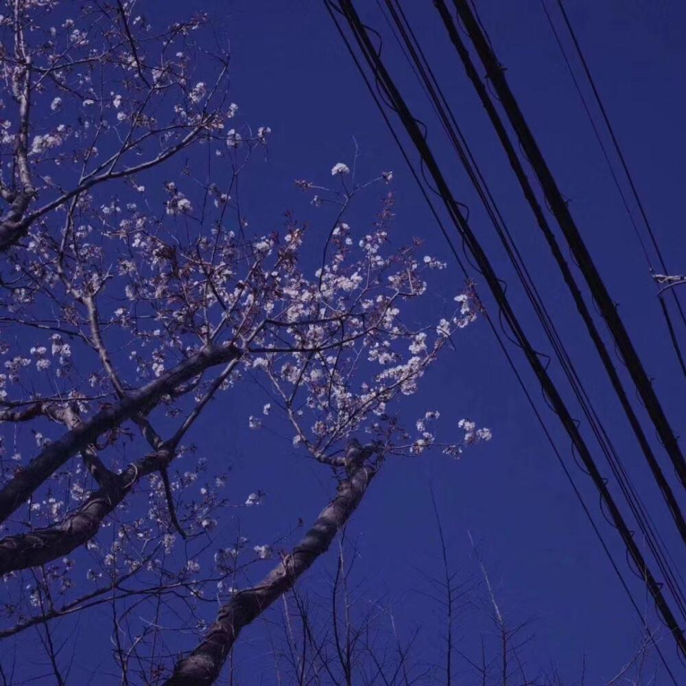有哪些适合年轻人用的风景头像? - 知乎