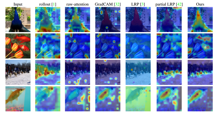 7.Transformer Interpretability Beyond Attention Visualization - 知乎