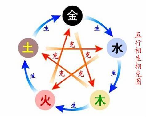 五行属木的字 - 知乎