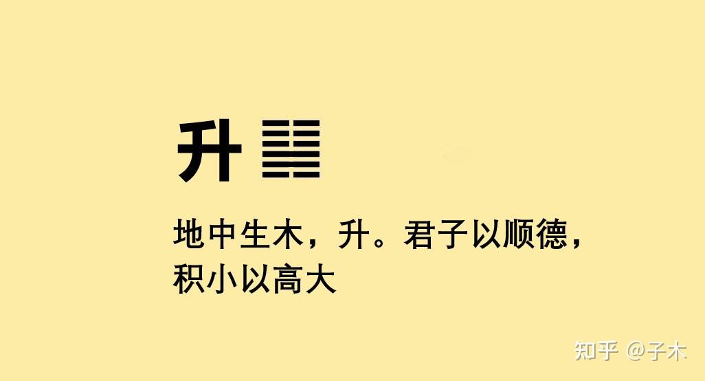 四十六:升卦解读 - 知乎
