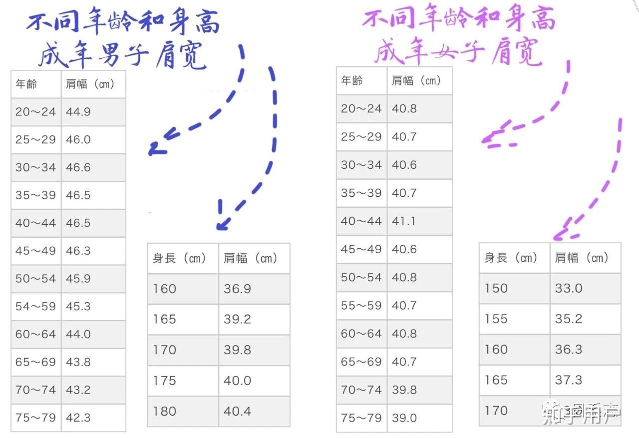 肩宽和身高比例是怎么样的