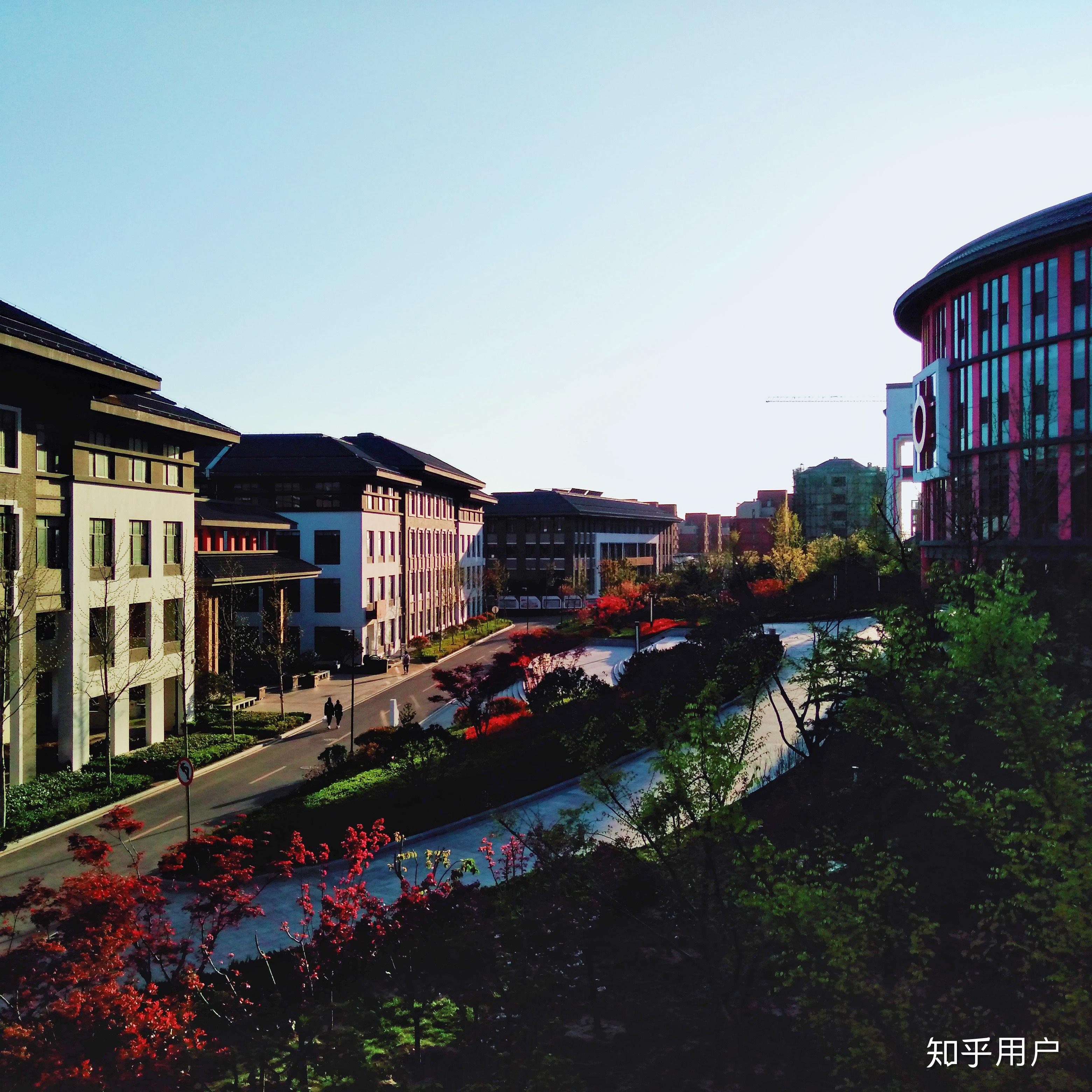 在青岛实验高级中学就读是怎样的体验