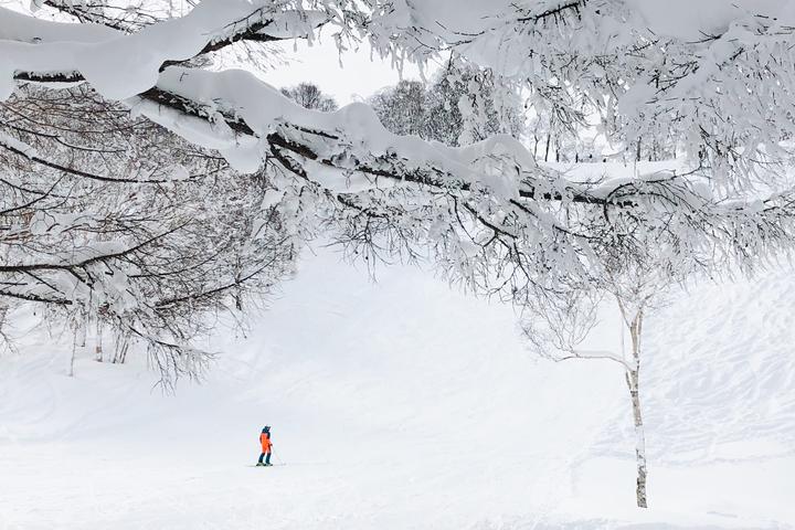 温泉粉雪与简单生活，长野野泽温泉 - 知乎