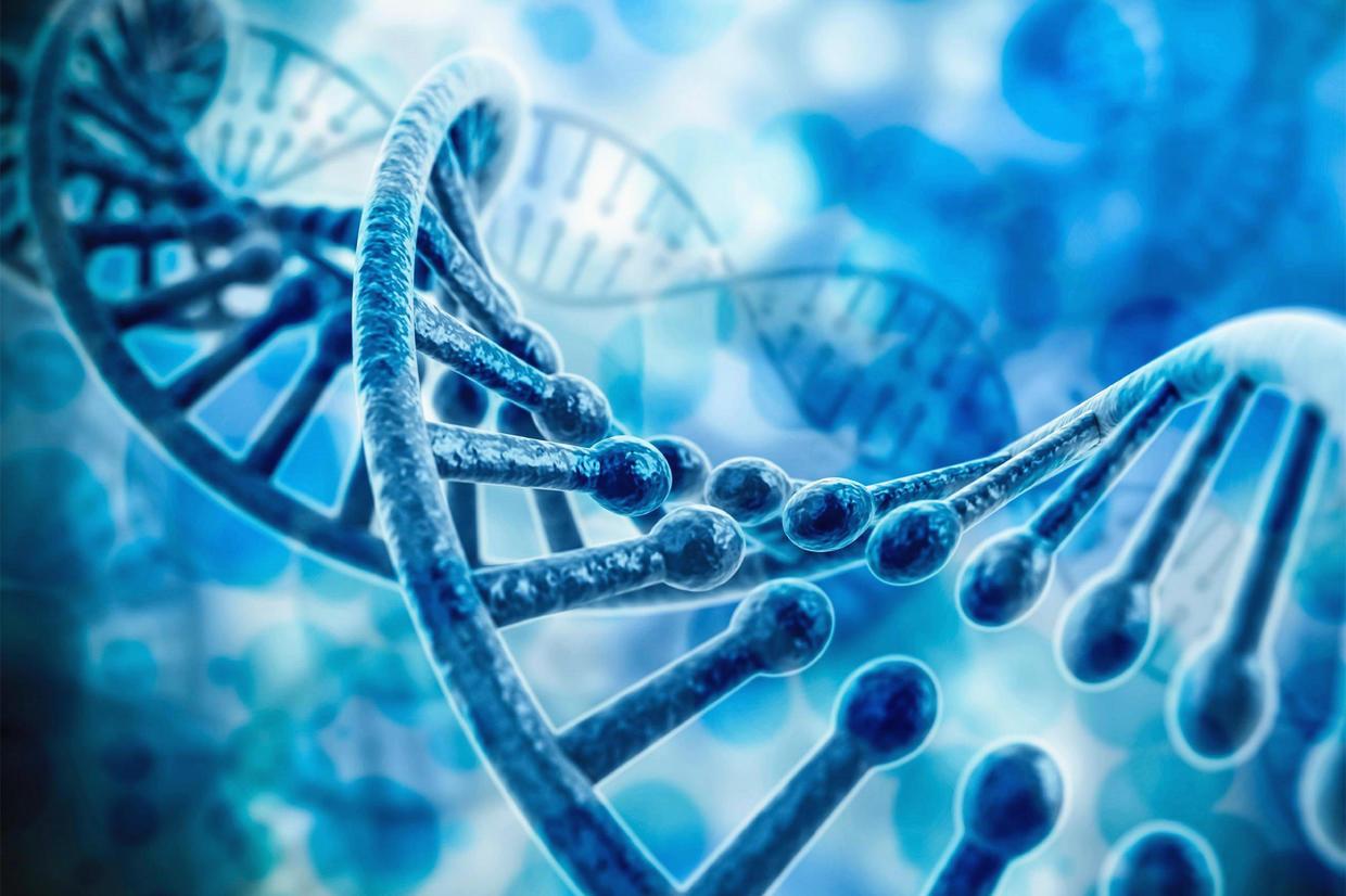 细思极恐：基因对我们的影响究竟有多深？（一） - 知乎