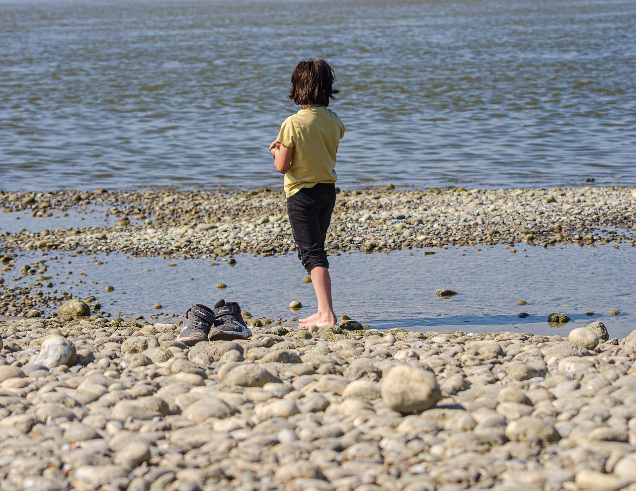 4. 季卡价格对比