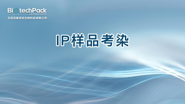 IP样品考染 - 知乎