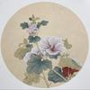 阳光正好