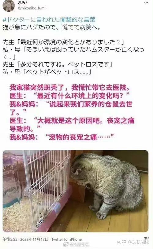 有哪些够你笑一辈子的沙雕图片？ - 知乎