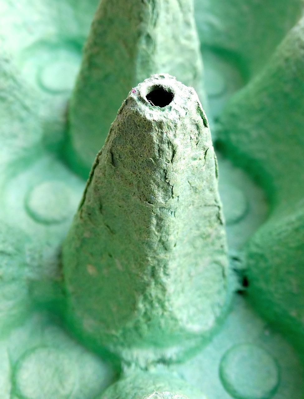 1号纸碗批发价是多少