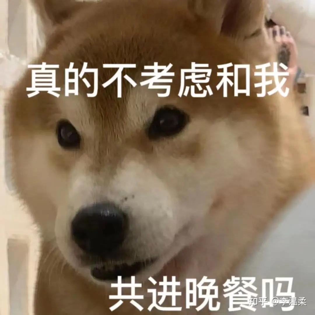 舍不得删的傻狗表情包 - 知乎