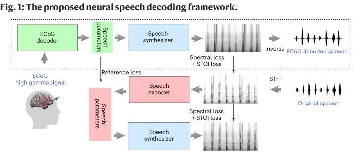 论文分享：《A neural speech decoding framework leveraging deep learning and ...