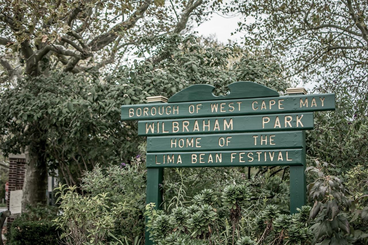 2. 古典与现代交融