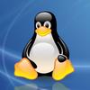 Linux码农