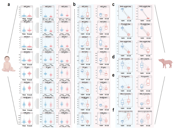 IF14.3| scRNA-seq+脂质组多组学分析揭示宫内生长受限导致肝损伤的性别差异 - 知乎