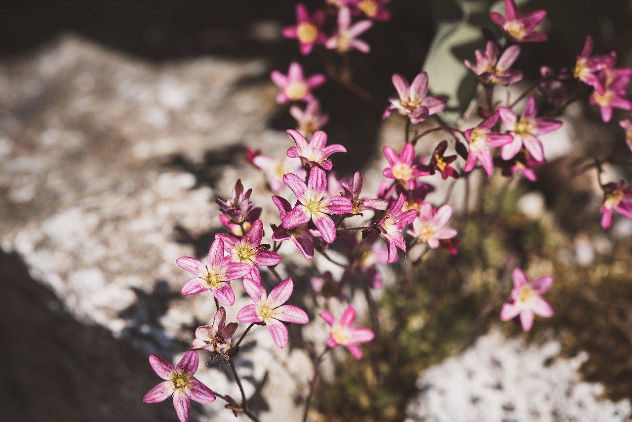 4. 回填质量检测