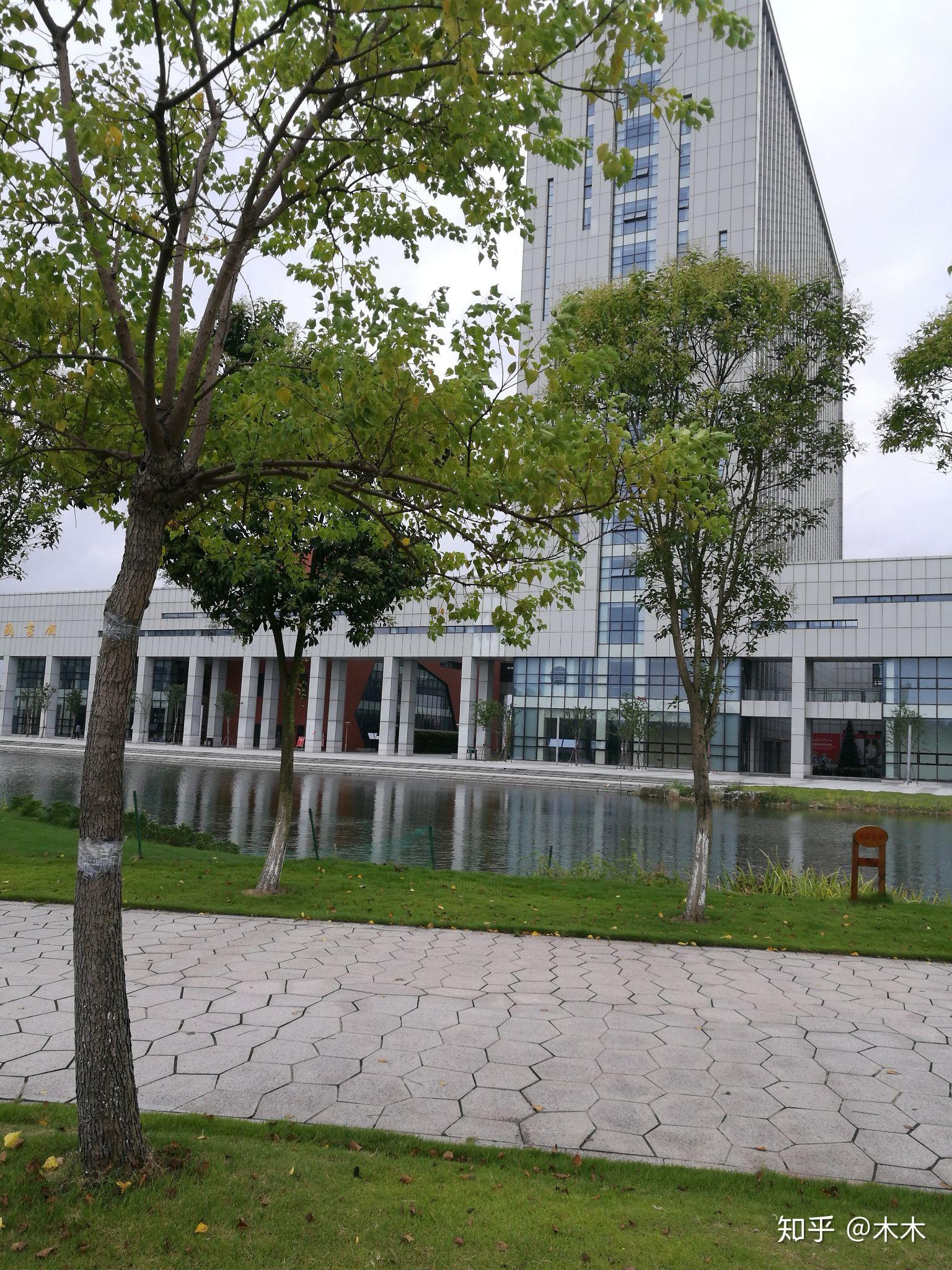 如何评价宁波大红鹰学院