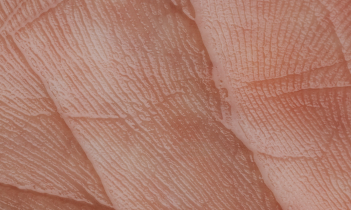 皮肤表皮细胞分层组织结构与功能 - 知乎