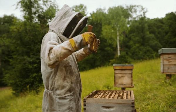 《拯救地球》石头姐这部R级科幻片太癫了！