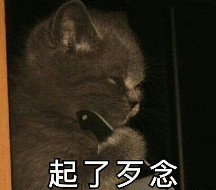 有哪些能把人18死的表情包?