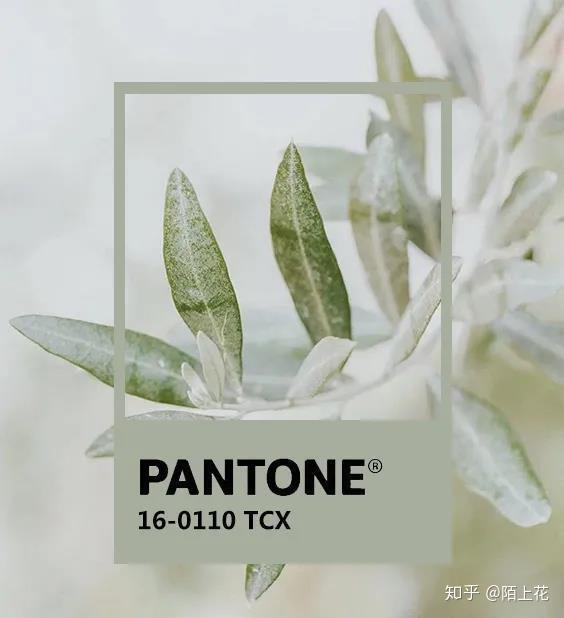 2020夏季家居流行色彩之鼠尾草绿 - 知乎