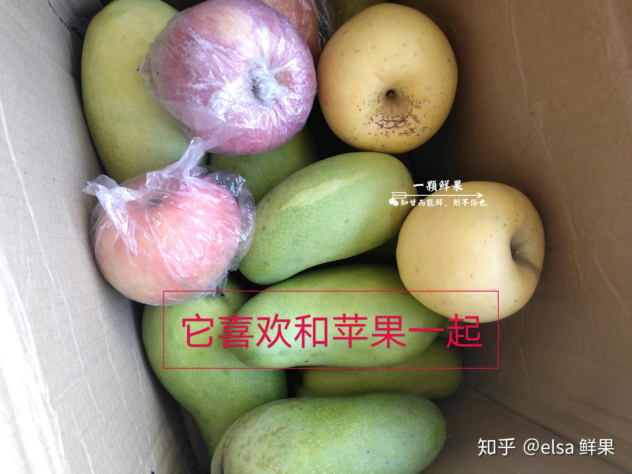 淘宝又青又硬的芒果如何催熟呢