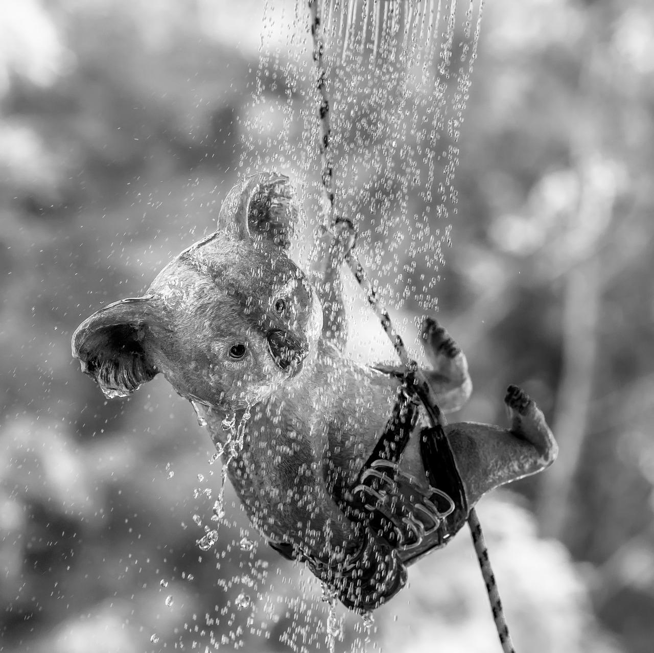 1. 淋浴地台高度