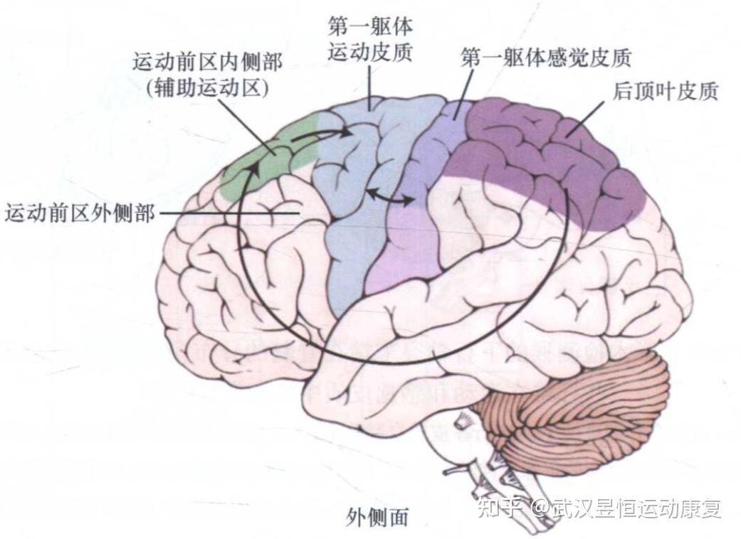 运动的发生过程 - 知乎