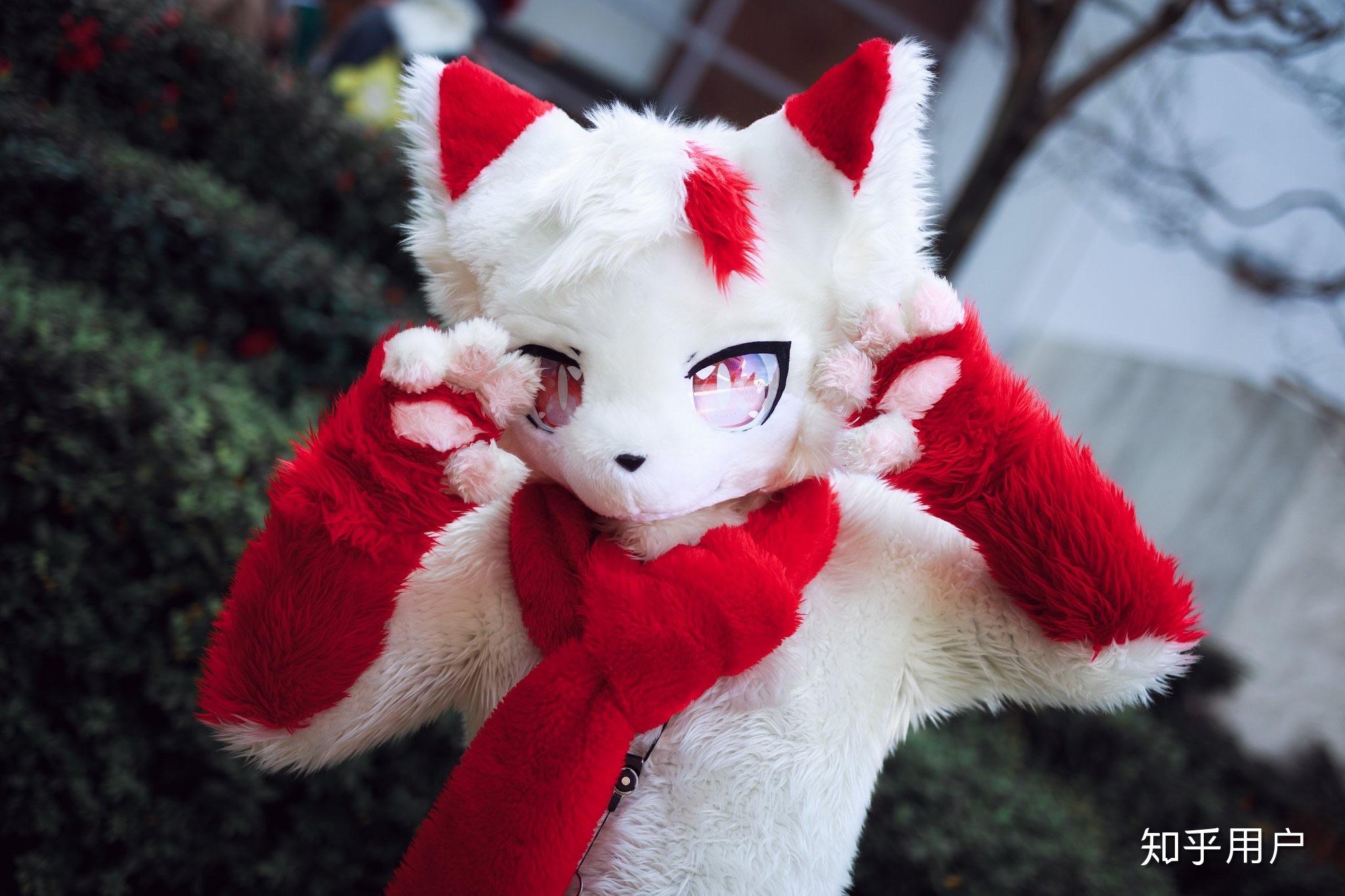 如何說服家長同意買一件17000rmb的fursuit獸裝