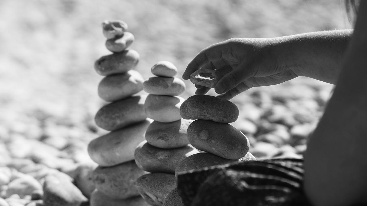 阳台植物养护法