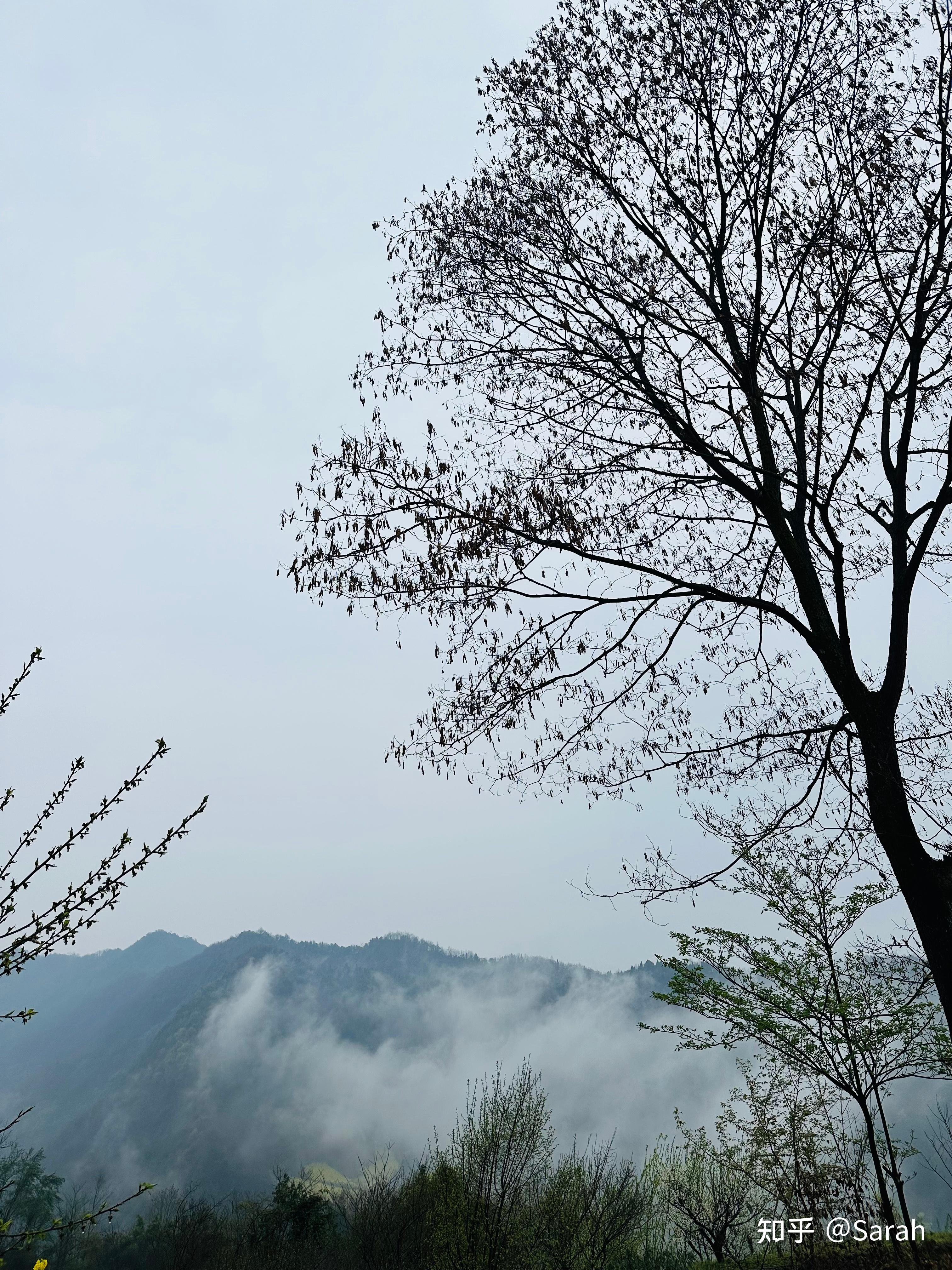 可以分享你相册中早上最美的风景照吗
