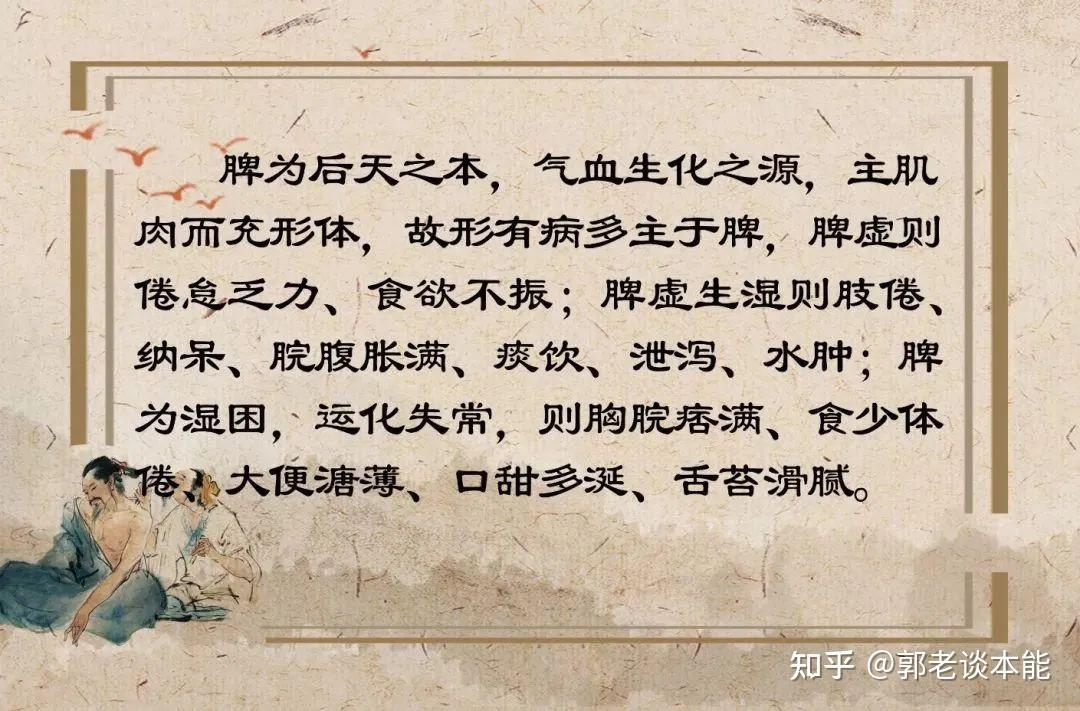 脾虚湿气应该怎样怎样调理