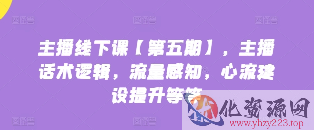 主播线下课【第五期】，主播话术逻辑，流量感知，心流建设提升等等