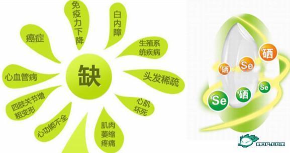 硒有哪些作用，除了预防癌症和抵抗癌症，还有这些作用... - 知乎
