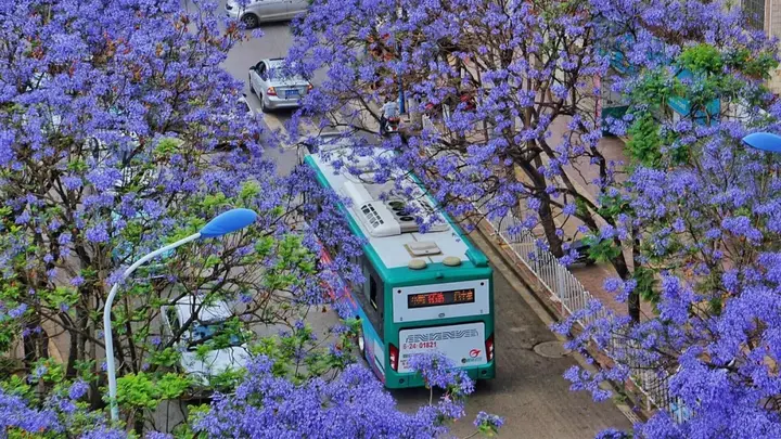 最适合冬日避寒的旅行地推荐,你去过几个? - 知乎