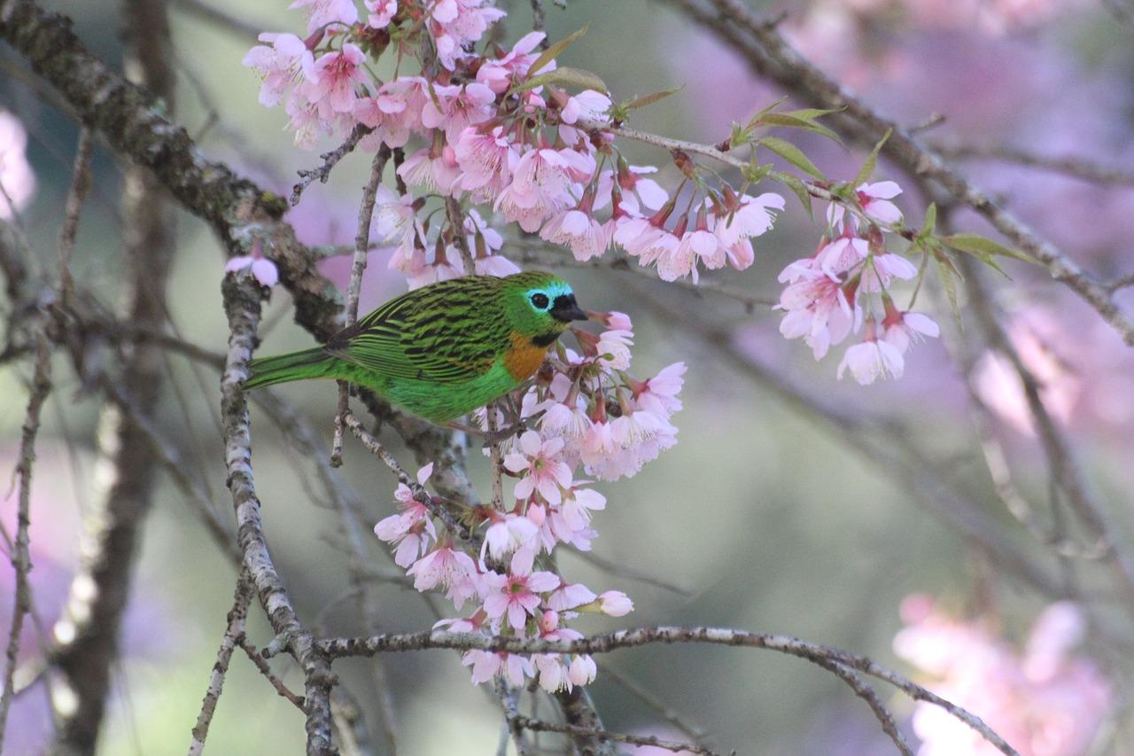 2. 合适水质管理