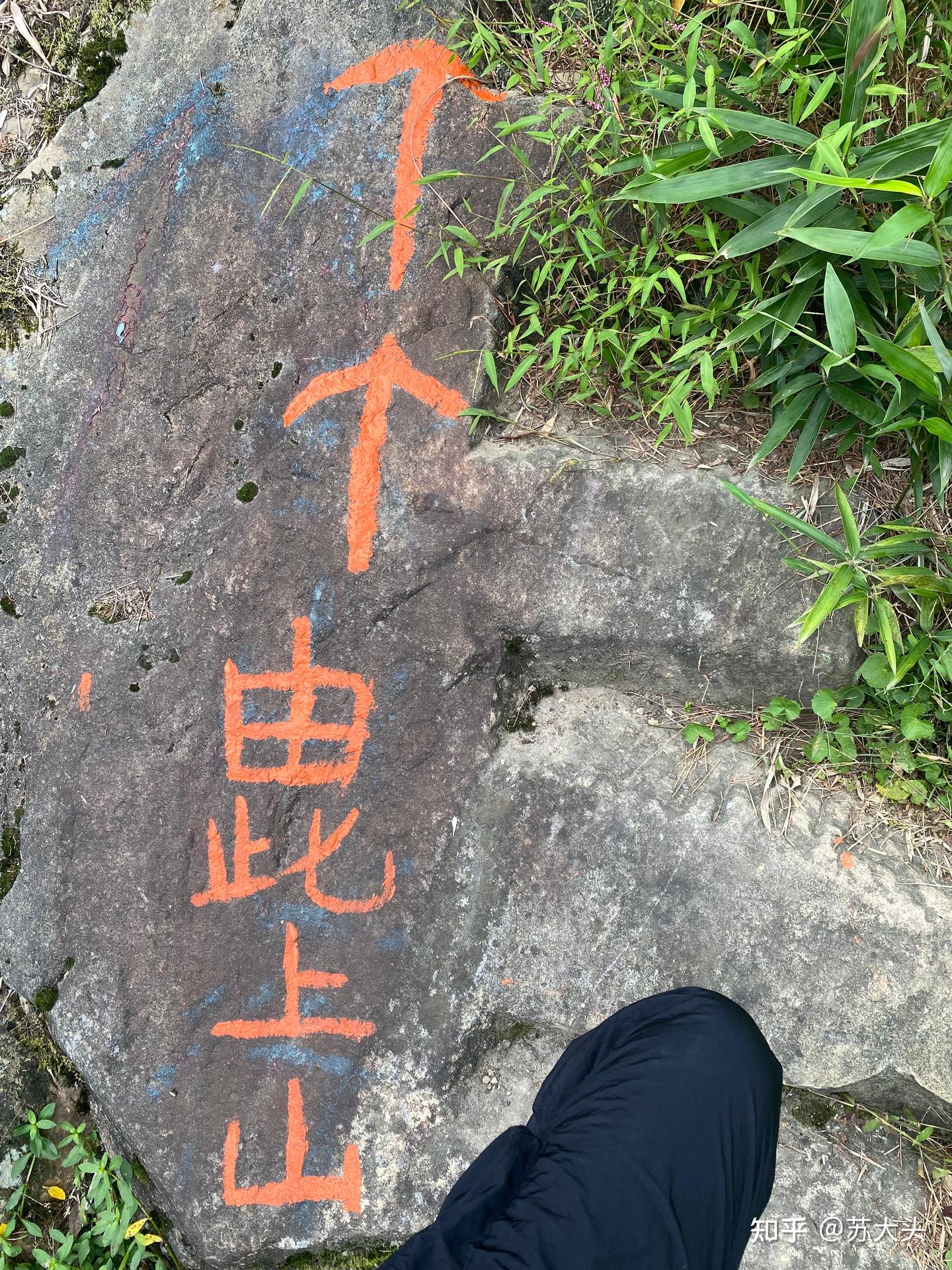 重庆徒步爬山圣地：缙云山免门票上山详细路线指引 - 知乎