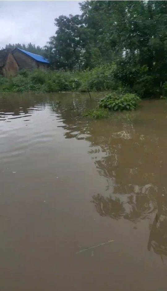 河南洛阳嵩县暴雨图片