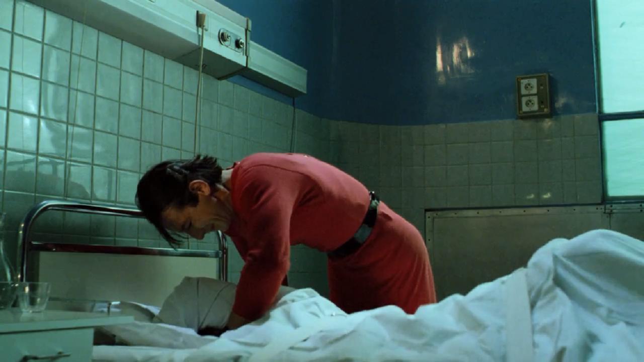 如何评价电影巴黎野玫瑰