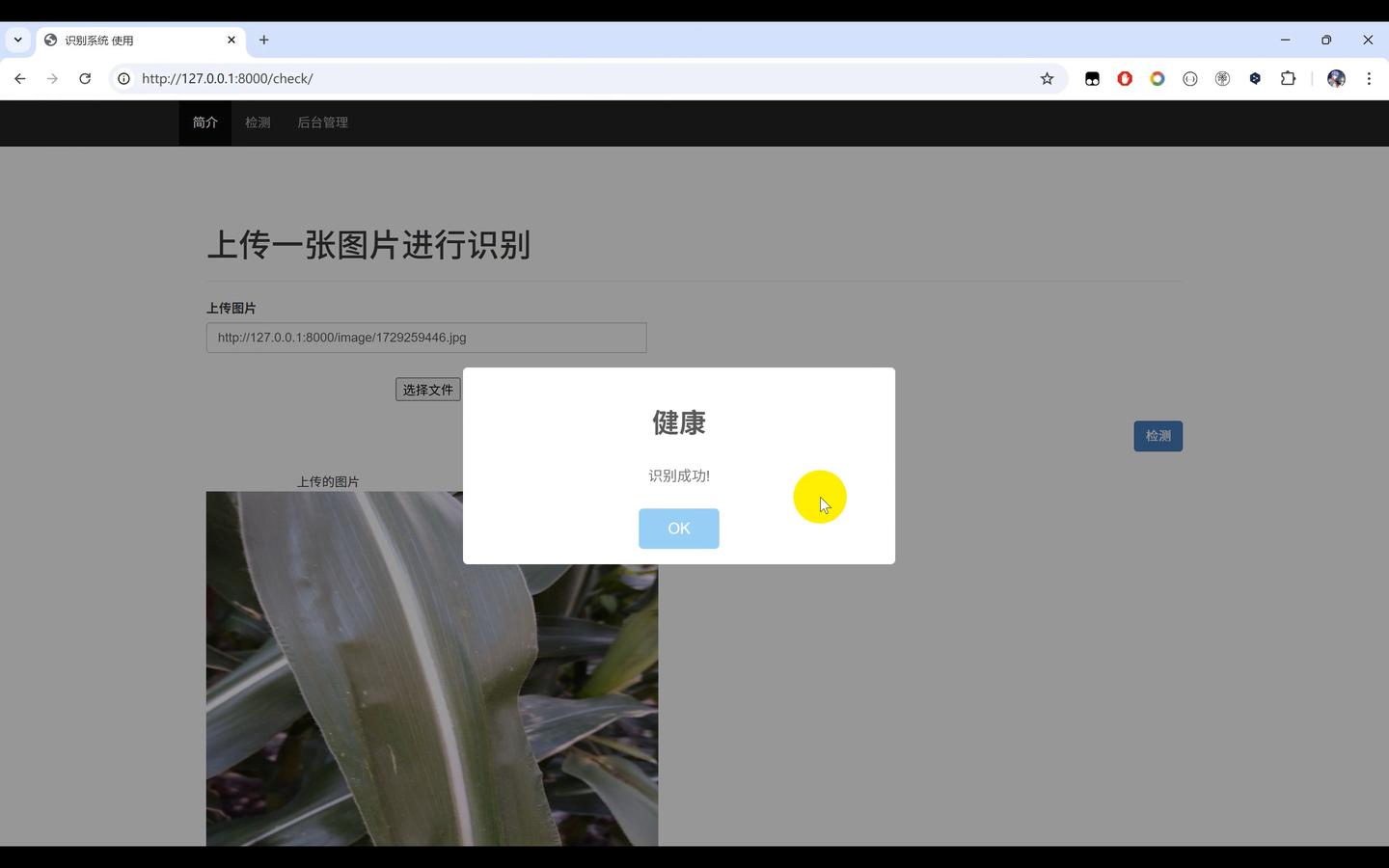 【玉米病害识别】Python+卷积神经网络算法+人工智能+深度学习+计算机课设项目+TensorFlow+模型训练 - 知乎