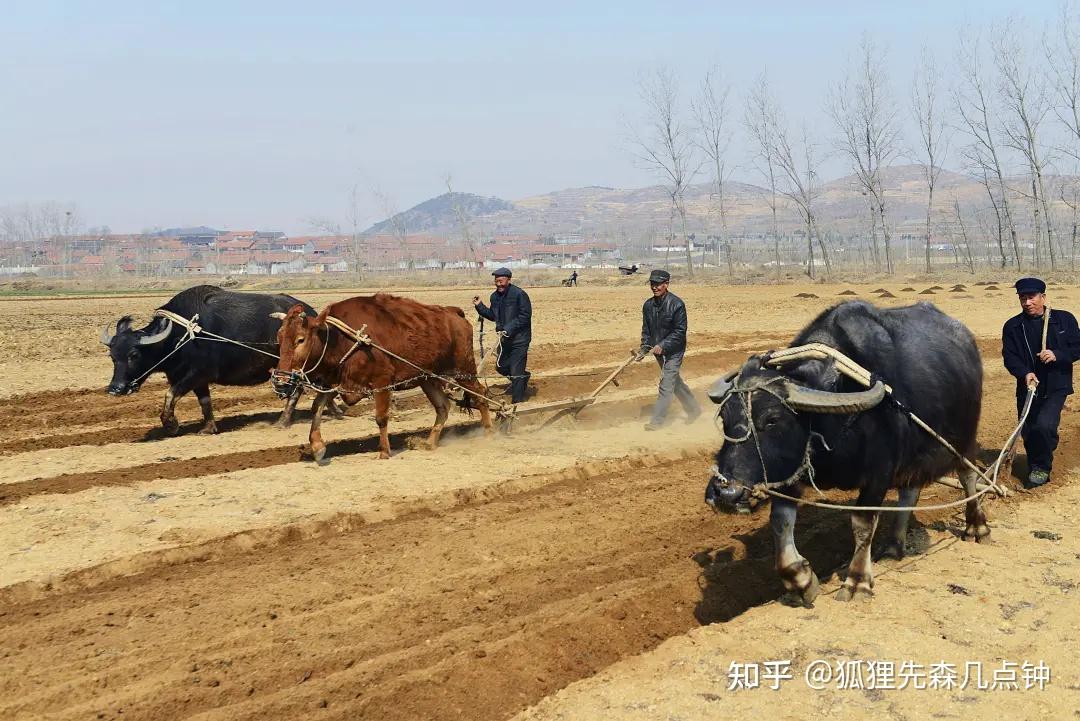 中国古代农业的耕作方式是什么?刀耕火种、精耕细作、集体劳作、个体农耕这些概念之间又是什么关系? - 知乎