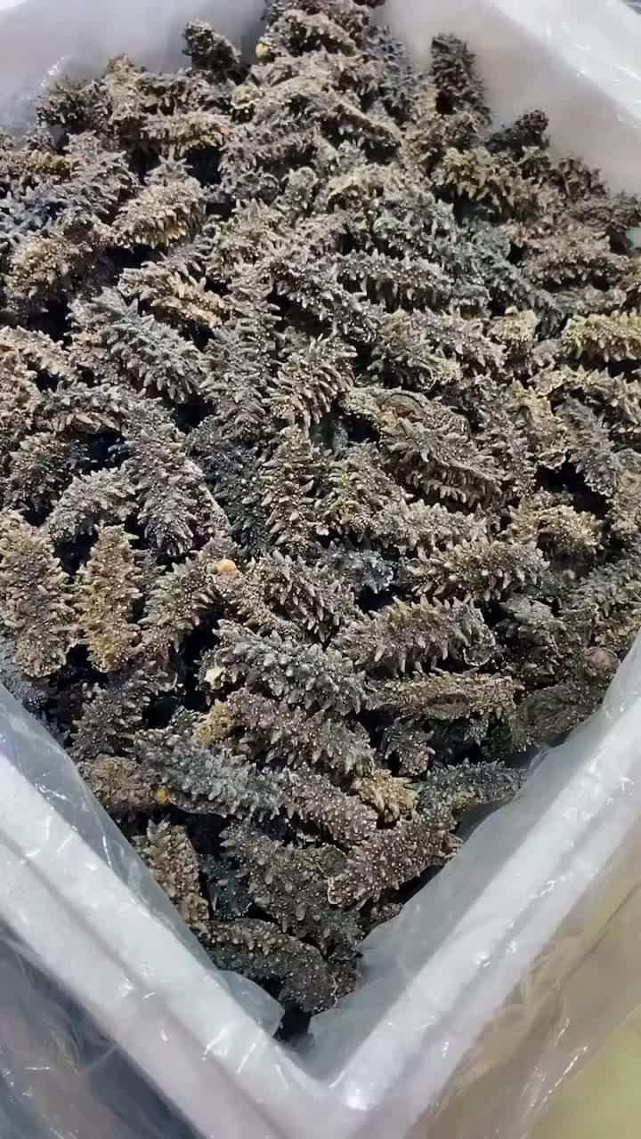 海参崴自由行 的想法: 俄罗斯大红参是俄罗斯红参中最好的品种,也就是