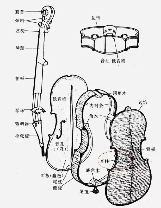 大提琴琴弓结构示意图图片