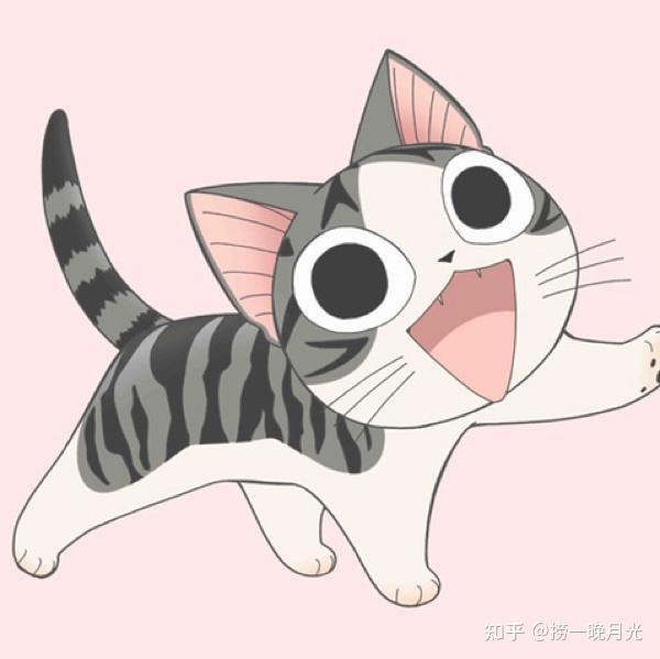 哪位可以帮我看看这是什么品种的猫