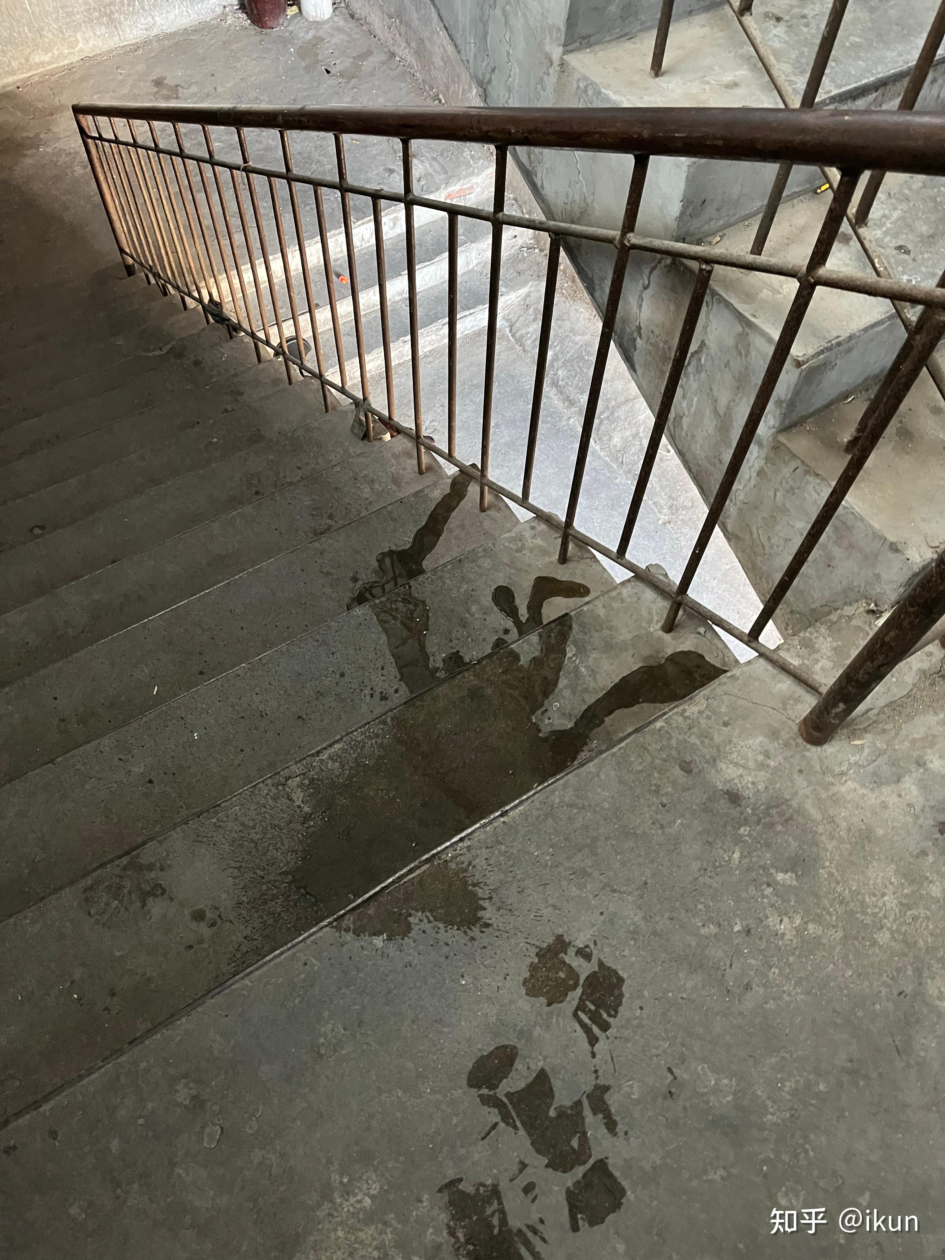 你们见过小学年纪的女孩子随地小便吗