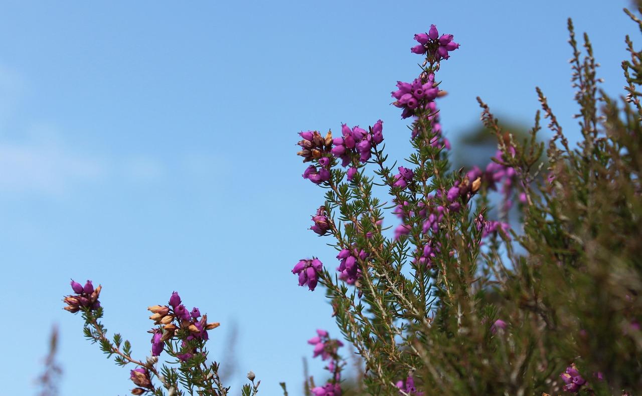 3. 湘潭威尔士户型